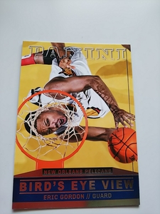 13/14 Panini Bird's eye view Eric Gordon