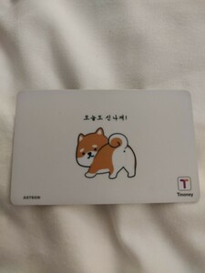 韓国の交通系 IC カード 