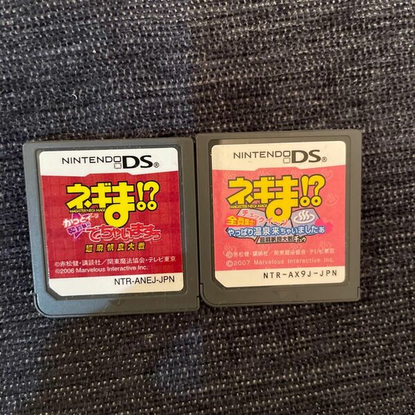 DS ネギま 2本セット ソフトのみ