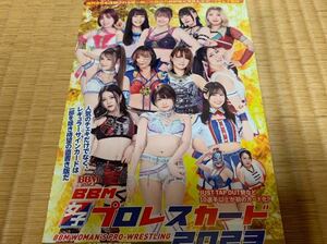 BBM 2023 女子プロレス 新品未開封 1BOX ボックス 雪妃真矢 荒井優希 志田光 鈴季すず ラム会長 安納サオリ 坂崎ユカ 他