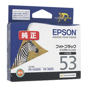 【ゆうパケット対応】EPSON インクカートリッジ ICBK53 フォトブラック [管理:2041189]