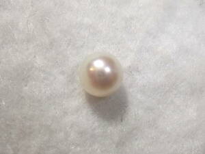 極上テリツヤ綺麗国産アコヤ真珠 pearl 本真珠和珠　10　宝飾品の外し石ルースから極上片穴ルース!初心者にもおすすめ☆　124-18