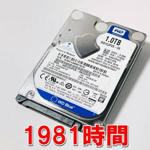 【HDD 1TB】WD Blue 2.5インチ 9.5ｍｍ ハードディスク 使用時間1981時間　[70JV1000HD007]