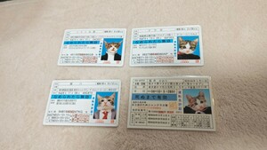 なめんなよ なめ猫　免許証　猫ハ　猫井かおり　ドラ吉　ニャン太郎　未使用