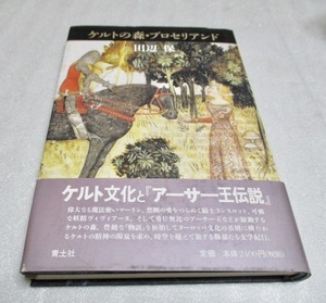 『ケルトの森・ブロセリアンド』　　　田辺保（著）　　　青土社　　　単行本　　　1998年第1刷