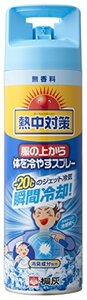 熱中対策 服の上から体を冷やす 無香料