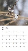 カレンダー2024 白い妖精シマエナガ（月めくり/壁掛け） (ヤマケイカレンダー2024)_画像10