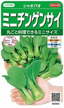 サカタのタネ 実咲野菜3303 ミニチンゲンサイ シャオパオ 00923303_画像1