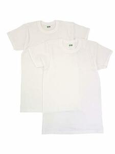 [グンゼ] インナーシャツ やわらか肌着 綿100% 抗菌防臭加工 半袖丸首 2枚組 SV61142 メンズ ホワイト 日本LL (日本サイズ2L相当