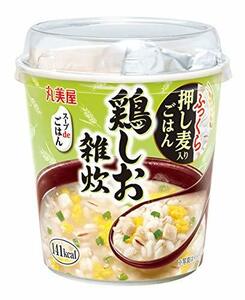 丸美屋 スープdeごはん鶏しお雑炊 70.3g×6個