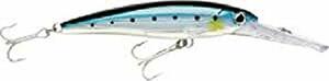 Rapala(ラパラ) ミノー Xラップ マグナム 16cm 72g イワシ BSRD XR30MAG-BSRD ルアー