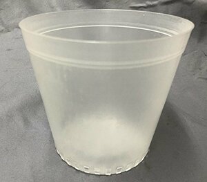 半透明 プラ鉢 12ｃｍ １0個