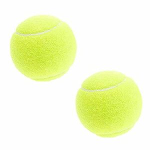 LLB SPORTS (エルエルビースポーツ) 硬式テニスボール 2球 ノンプレッシャーボール 182