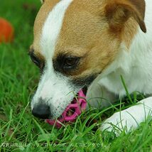 JW Pet Company犬用おもちゃ ホーリーローラーボール Lサイズ レッド_画像4
