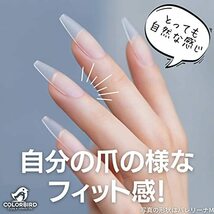 COLORBIRD ネイルチップ 超薄 ショート ミディアム クリア 母の日 結婚式 自然なフィット感 艶消 密着 (スクエアオフS)_画像3