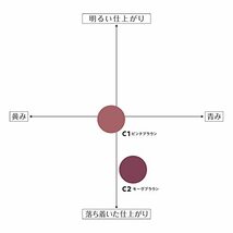 セザンヌ 極細アイブロウマスカラ C2 モーヴブラウン 4.0g ニュアンスカラー 極細ブラシ 血色感_画像6