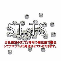 ST TS メタル マイナス モールド 30個セット プラモデル フィギュア ロボット メタルマイナスモールド (2.5mm)_画像5