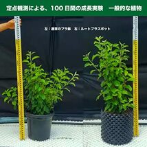 南榮工業 ルートプラスポット 18L GS-AP300S 黒（植木鉢 ガーデニング 農家 植物 観葉植物 果樹 根腐れ)_画像3