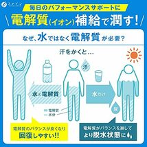 ファイン イオンドリンク亜鉛プラス みかん味 砂糖ゼロ 脂質ゼロ 国内生産 22包入×3個セット_画像5