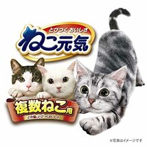 ねこ元気 複数ねこ用 お魚とお肉のスペシャルブレンド まぐろ・かつお・白身魚・チキン入り 5kg×3個セット_画像2