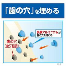 ハウメル 知覚過敏ケア 薬用ハミガキ 100g 歯の穴を埋める 小林製薬 1個_画像4