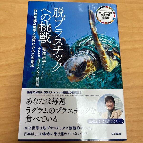 新品 脱プラスチックへの挑戦 持続可能な地球と世界ビジネスの潮流 (SDGs時代の環境問題最前線)