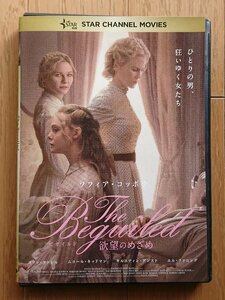 【レンタル版DVD】ビガイルド 欲望のめざめ 出演:コリン・ファレル/ニコール・キッドマン 監督:ソフィア・コッポラ