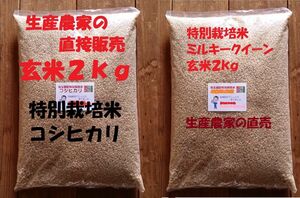 ◆新米◆[玄米]特別栽培米コシヒカリとミルキークイーン２ｋｇづつセット有機肥料減農薬