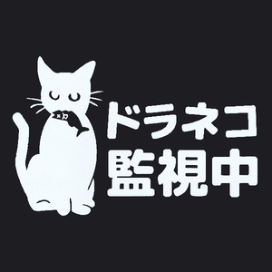 カッティングステッカー　［ ドラネコ 監視中 ］　ホワイト　光沢あり　　　だじゃれ　猫　にゃんこ　おもしろ　痛 車