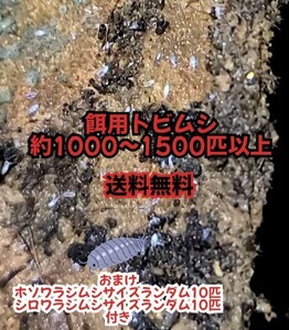 トビムシ 自然発生種 1000〜1500匹以上 目視1〜1.2mmほど 両生類ベビーヤドクガエルの餌に 冬季仕様カイロ2枚入り 2種の餌用ワラジムシ付き