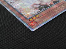 877-KC2215-60v 遊戯王OCG RC04-JP009 灰流うらら クォーターセンチュリーシークレットレア RARITY COLLECTION -QUARTER CENTURY EDITION-_画像3