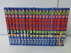 疾風伝説 特攻の拓 1〜19巻セット