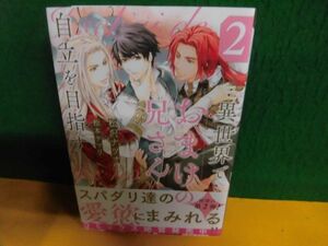 異世界でおまけの兄さん自立を目指す　2　帯付　松沢ナツオ　BL　アンダルシュノベルズ　単行本