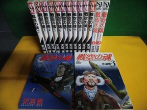 戦空の魂 全12巻/ 21世紀の日本人へ 全3巻　シリーズ全15巻セット　天沼俊