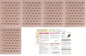 長生灸 ソフト250壮（箱なし）　★使用説明書、ツボ冊子（簡易版）付★　肩こり、腰痛　せんねん灸