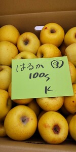 【訳あり・加工用】長野県産　黄金はるか　サイズフリー　100サイズ　梱包込約12ｋｇ　玉数不明　バラ詰め　④