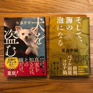 ミステリー小説　セット　犬を盗む　やがて、海の泡になる