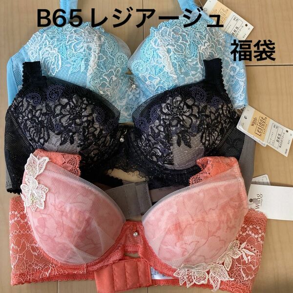 ワコールレシアージュブラジャー福袋2024