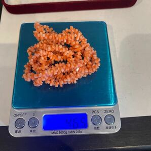 本珊瑚 ネックレス アクセサリー シルバー金具 総重量４６.5グラムの画像6