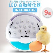 1円~ 孵卵器 自動 インキュベーター LED 検卵ライト内蔵 鳥類専用ふ卵器 孵化器 9個 子供教育用 家庭用 自由研究 3o_画像2