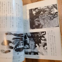 「くまの文庫9冊セット」 和歌山県郷土資料/熊野古道/民俗学/紀伊山地/民具_画像9