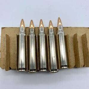 スナップキャップ 空撃ちケース 223レミントン弾 5.56x45mm 模擬弾 ダミーカート ハンディング 狩猟 メンテナンス用品 5個の画像1