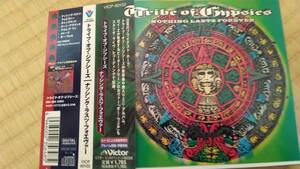 【帯付 国内盤】　TRIBE OF GYPSIES 　NOTHING LASTS FOREVER　 トライブ・オブ・ジプシーズ　ロイ・Ｚ