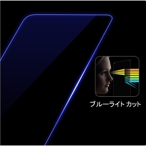 (ブルーライトカット) iPad mini6 用 強化ガラスフィルム Prenium TEMPRERED GLASS Pro 