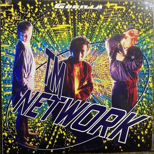  sample record LP TM network ( Utsunomiya Takashi * Komuro Tetsuya * Kine Naoto ) Tm Network[Gorilla (1986 year *28-3H-222*. wistaria wide .* Kitajima . two 