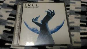 ◇CD　CHAGE&ASKA 　TREE　SAY YES他