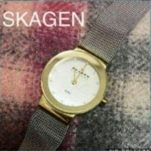 腕時計　スカーゲン