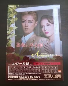 宝塚 宙組「薔薇に降る雨／Amourそれは…」大劇チラシ☆大和悠河,陽月華／フライヤー