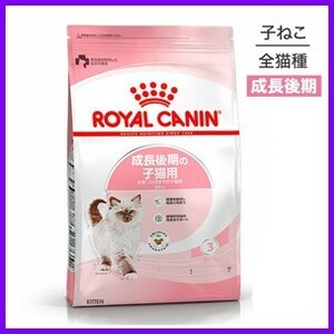 送料安 正規品 猫 ロイヤルカナン ２kg キトン 子猫 用 仔猫　成長後期