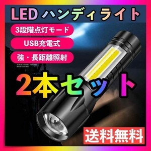 2本SET ハンディライト LED 懐中電灯 超強力 USB充電 小型 防災